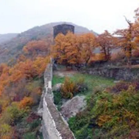 Отель Steeger Tal