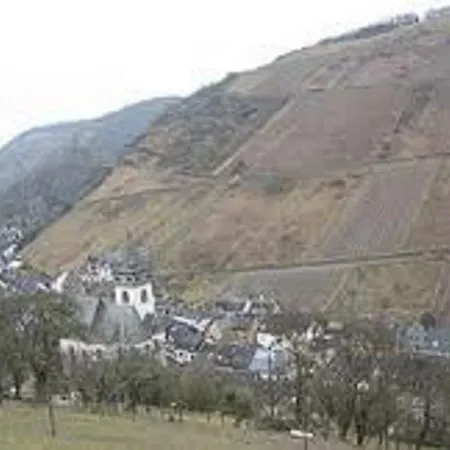 Steeger Tal Bacharach